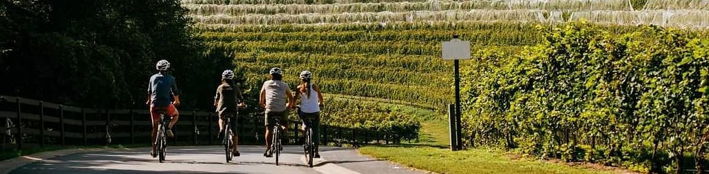 ragazzi che vanno in bicicletta tra le vigne durante il festival franciacorta