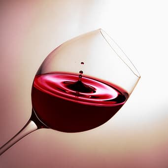 analisi visiva scheda degustazione vino