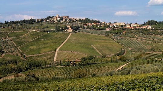 Vista delle vigne da Panzanello
